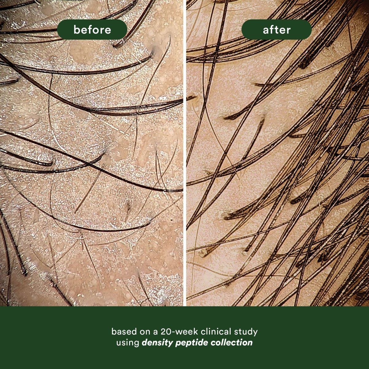 VERB_Density Peptide Hair Serum_Cosmetic World