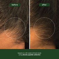 Thumbnail for VERB_Density Peptide Shampoo_Cosmetic World