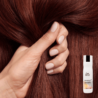 Thumbnail for Wella_Color Protection Shampoo_Cosmetic World