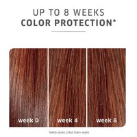 Thumbnail for Wella_ColorMotion+ Post Color Treatment_Cosmetic World