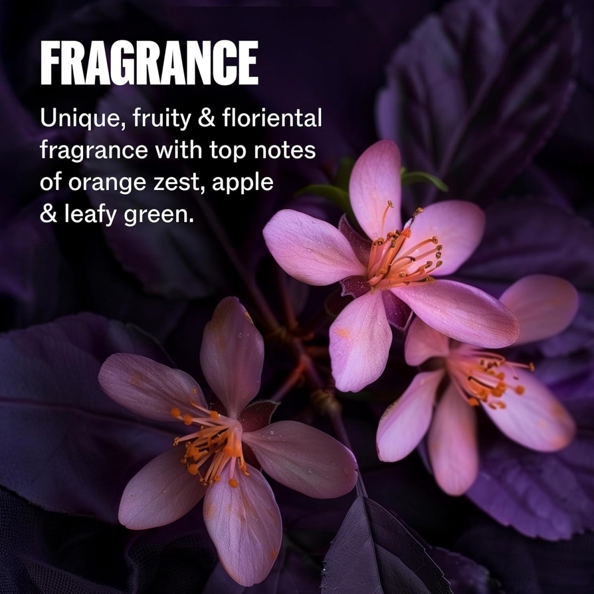 Wella_Ultimate Color Intense Miracle Leave - in Mask_Cosmetic World