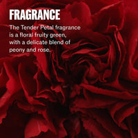 Thumbnail for WELLA_Ultimate Repair Protective Leave - in Serum_Cosmetic World