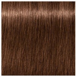 SCHWARZKOPF - IGORA ZERO AMM_Zero Amm 6-6 Dark Blonde Chocolate_Cosmetic World