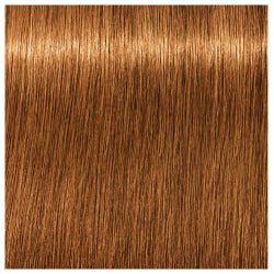 SCHWARZKOPF - IGORA ZERO AMM_Zero Amm 7-67 Medium Blonde Chocolate Copper_Cosmetic World