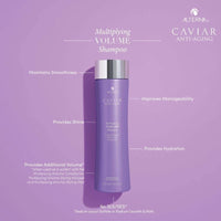 Thumbnail for ALTERNA_CAVIAR ANTI-AGING Multiplying Volume Shampoo_Cosmetic World