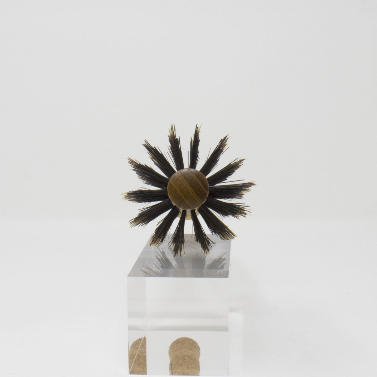 VESS_Round brush - Natural boar bristle - Cork grip 2.5"/ 6.35 cm_Cosmetic World