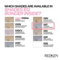 Thumbnail for REDKEN - SHADES EQ_Shades EQ Bonder Inside 09T Chrome_Cosmetic World